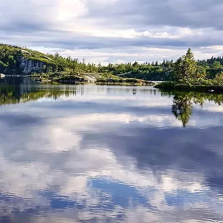 Amazing In With Kitchen