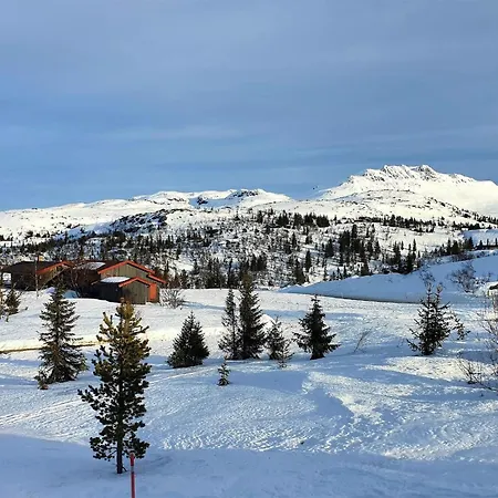 Amazing In With Kitchen *