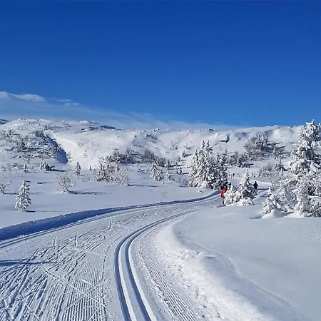 Amazing In With Kitchen Dom wakacyjny *